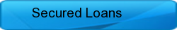 Secured Loans